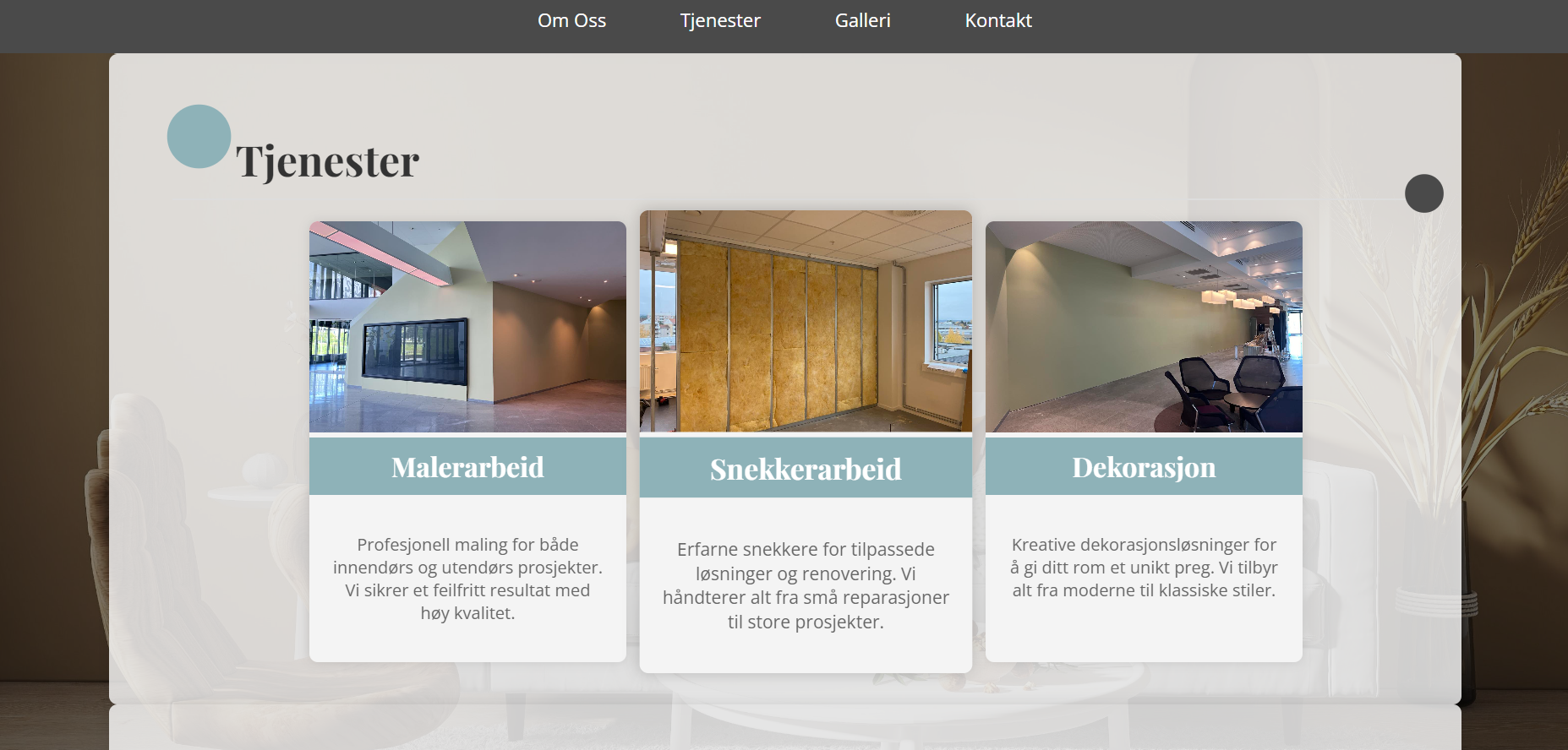 V.Z-Entreprenor Services Page
